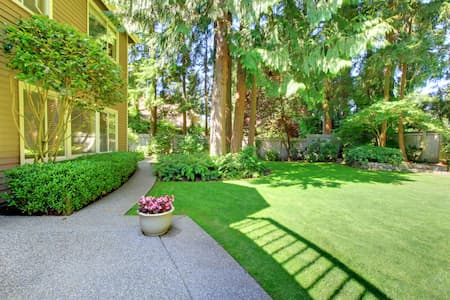 Reasons Why Professional Lawn Care Is The Way To Go